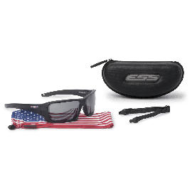 ESS ROLLBAR USA FLAG W/ POLARIZED MIRRORED GRAY