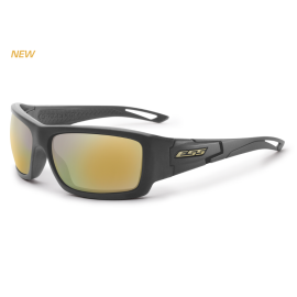 ESS CREDENCE CARBON GRAY W/ MIRRORED BRASS