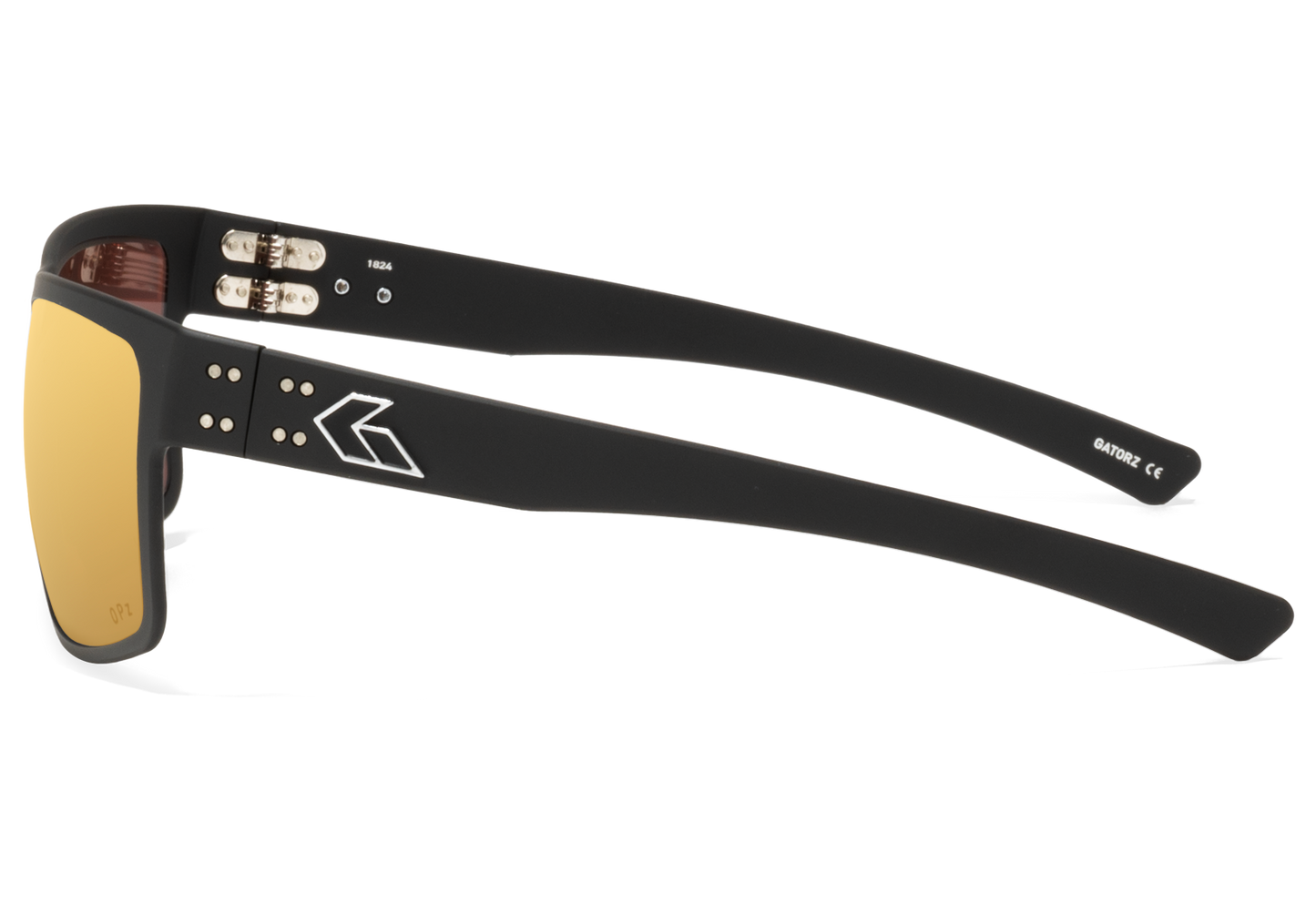Rig_Black_Gold-3.png