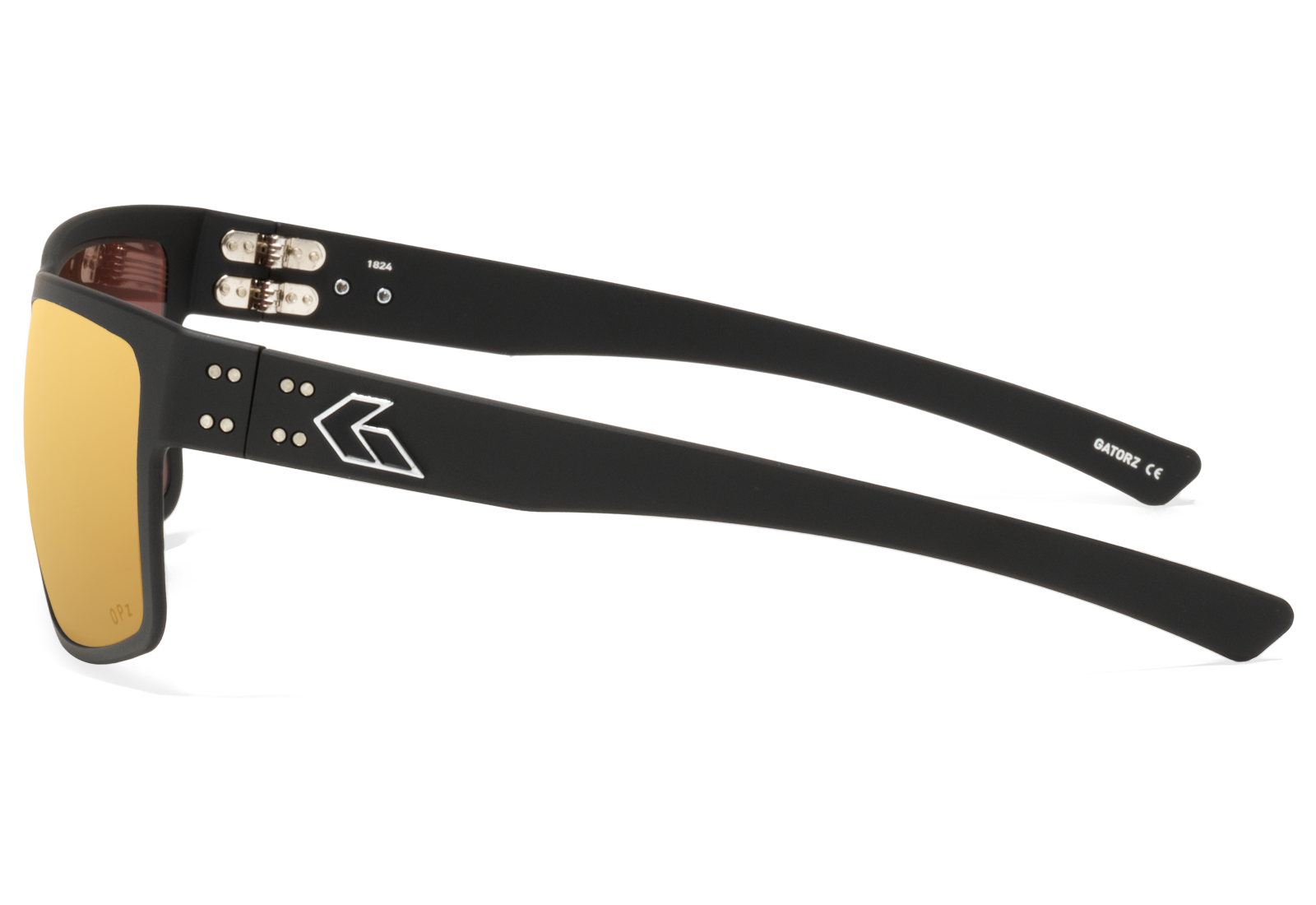 Rig_Black_Gold-3.png