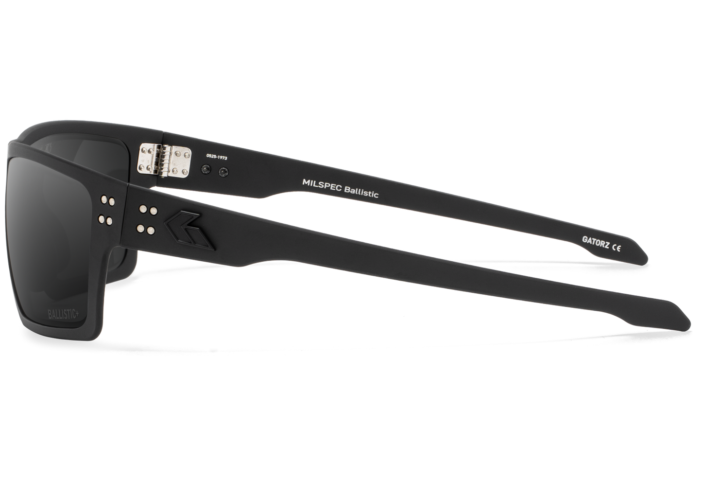 SENTIX