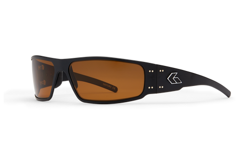 POLARIZED / Brown Polarized / Black w/Silver Logo